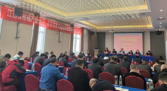 　　江西省柑橘产业技术体系·井冈蜜柚技术服务月于2月21日正式启动