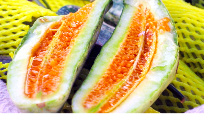 ▲作为全年首款上市的热门瓜品，羊角蜜被“吃瓜群众”亲切地称为全年第一口甜。周欣悦/摄