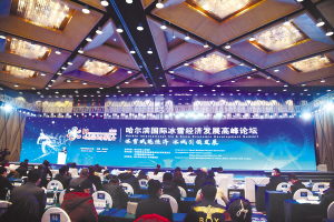 专家畅谈冰雪经济未来发展思路。本报记者孙岩摄