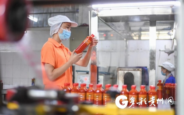 工作人员查看红酸汤品质