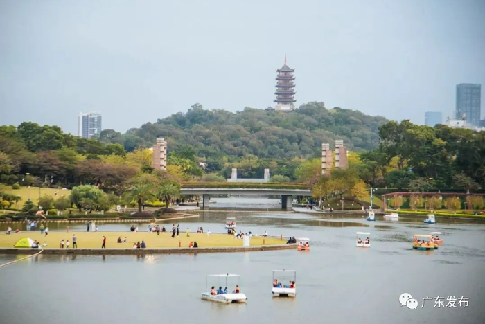 △舒适安宁的佛山吸引着大量的人口来此定居。图/广东发布