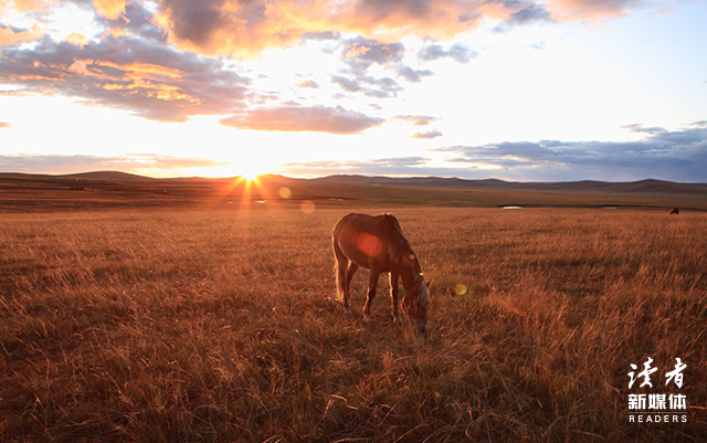图片来源：全景视觉
