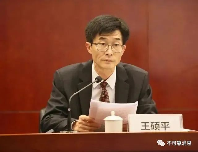 王硕平资料图