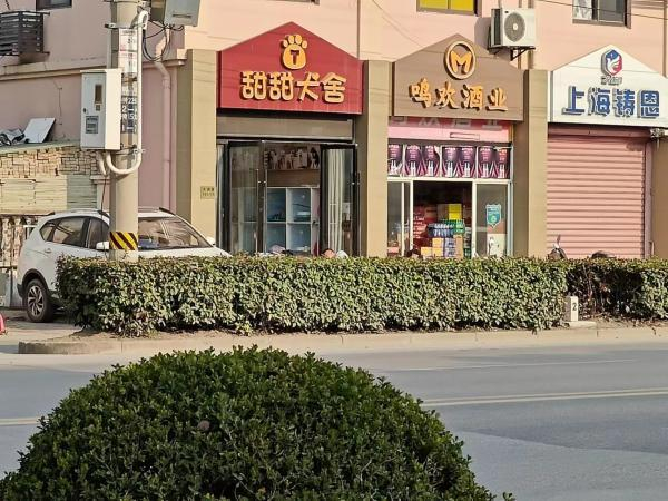 △位于方泗公路上的甜甜犬舍。