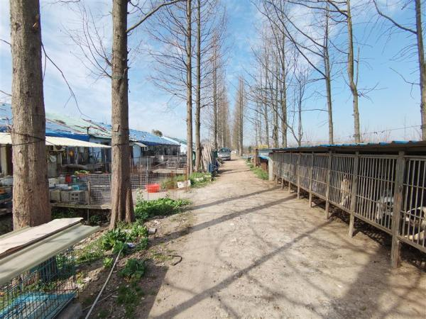 △在兴旺村，一排延绵的平房里是一家家的狗舍，地图显示这里为“福缘犬业”。