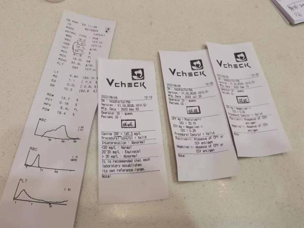 △3月6日买回的宠物狗，3月9日就检查出感染“细小”病毒。