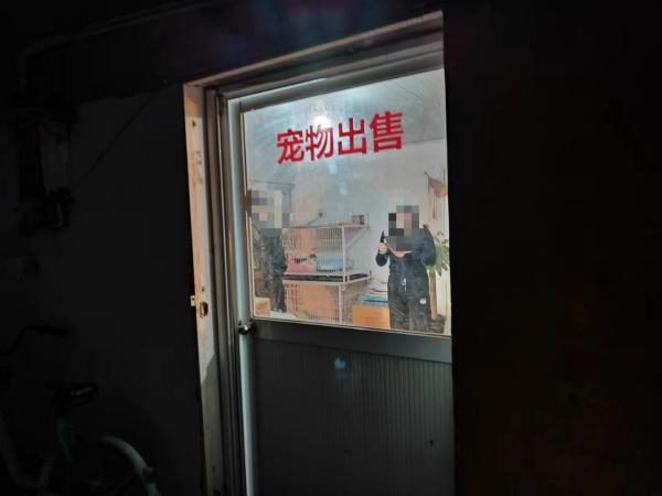 △在“上海惜宠cku宠物店”的引导下，记者被带入到兴旺村这家“宠物出售”店。