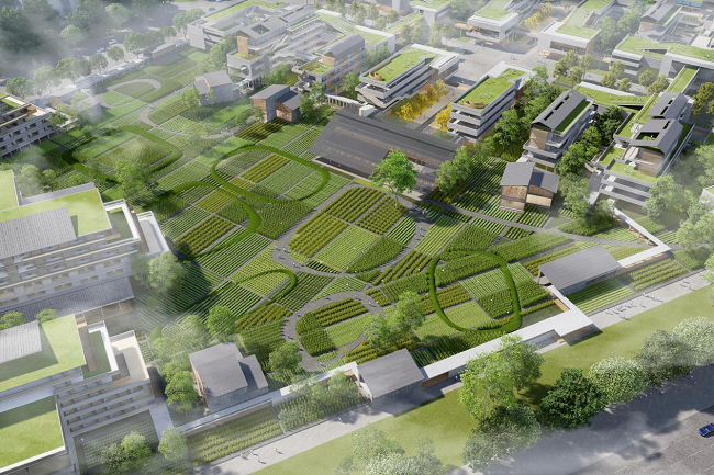 　　→ 建筑鸟瞰图 ©AG汇创