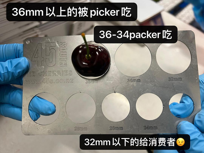 谢阿金在樱桃厂的见闻，图片来源：受访者提供