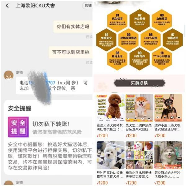 △“欧阳CKU犬舍”淘宝店要记者添加微信联系。