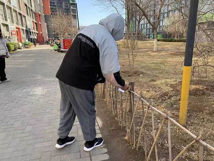 ▲ 罗姨正在小区篱笆上贴小广告。