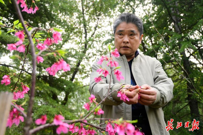 江汉大学生命科学学院二级教授蒋细旺。 记者史伟 摄