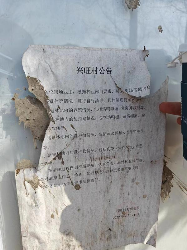 △兴旺村村委曾发公告希望狗场能注意环境维护。