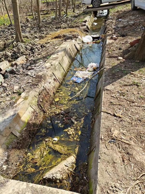 △兴旺村福缘犬业旁肮脏的水渠。