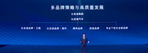 图片来源：比亚迪官网直播截图