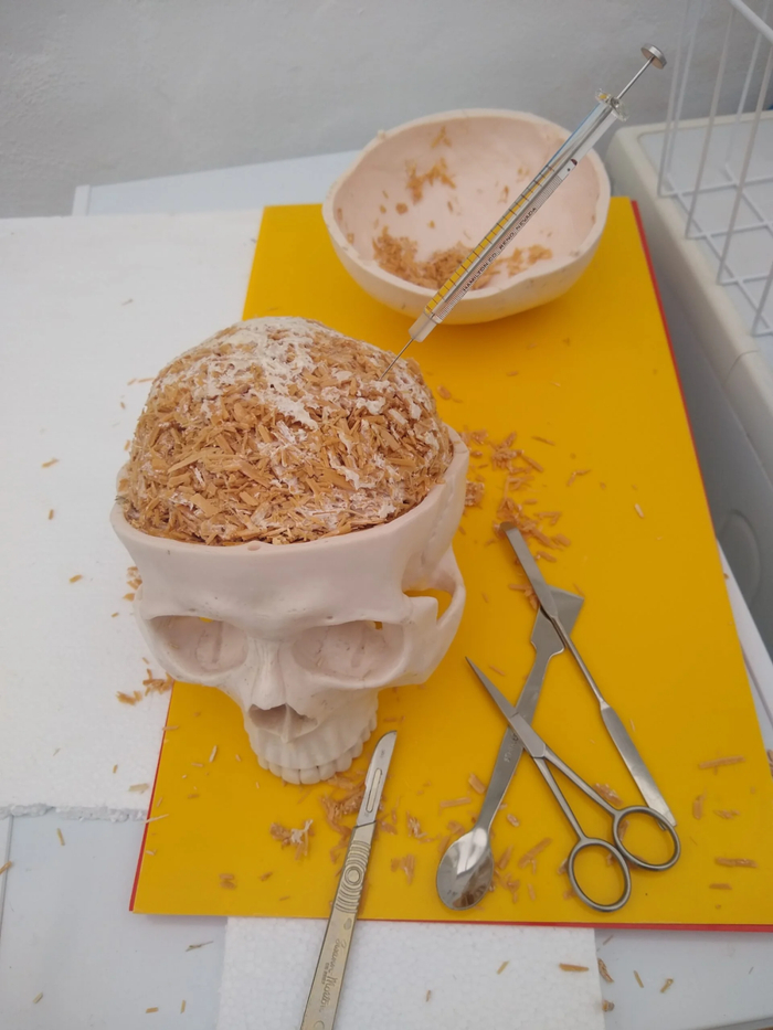 在塑造大脑时注入了化学物质的木碎屑。安德鲁・阿达马茨基（ Andrew Adamatzky）