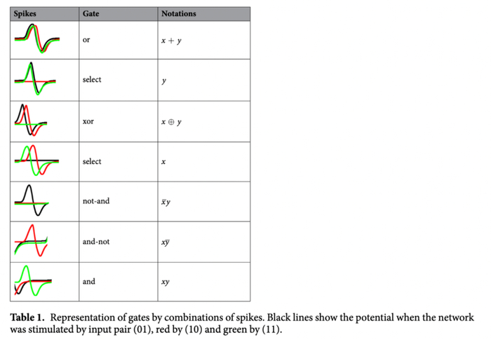 使用脉冲活动来制作门（gate）的一个示例。 