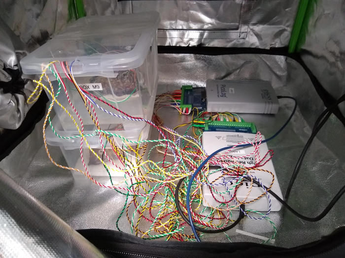 记录牡蛎真菌生长繁殖。 