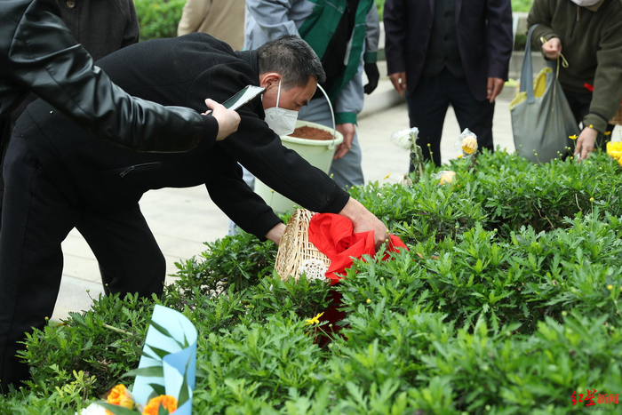 ▲生态树葬现场