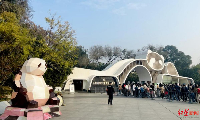▲早上八点半，成都大熊猫繁育研究基地门口排队的游客