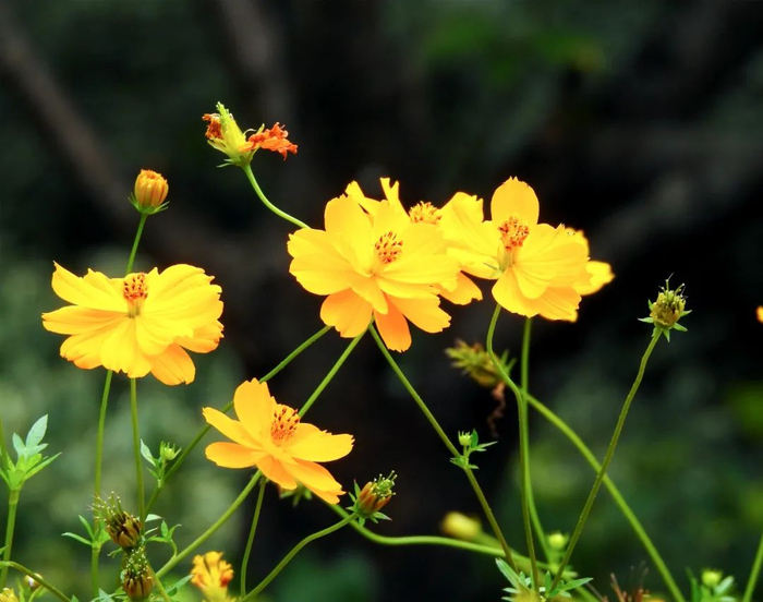 （图片来源：千图网）