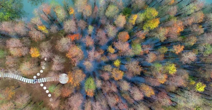 ▲黄杨河湿地公园