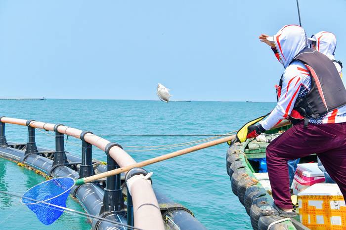 2023年首届“临高东英国际慢城杯”全国海钓大奖赛在临高举办。主办方供图