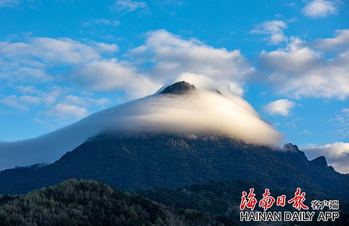 2023年1月13日，五指山主峰出现帽状云。海南日报记者 李天平 摄