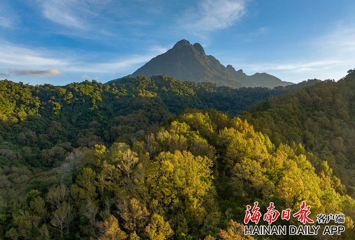 2022年10月16日，五指山热带雨林秋意浓。海南日报记者 李天平 摄