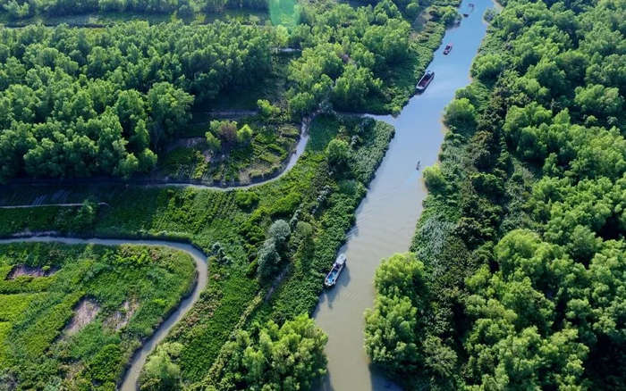 ▲淇澳红树林保护区