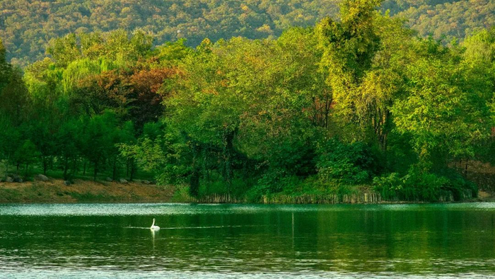 （图片来源：千图网）