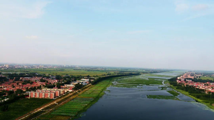 ↑文安县赵王新河湿地公园 陈有柱 摄（据廊坊发布微信公众号）