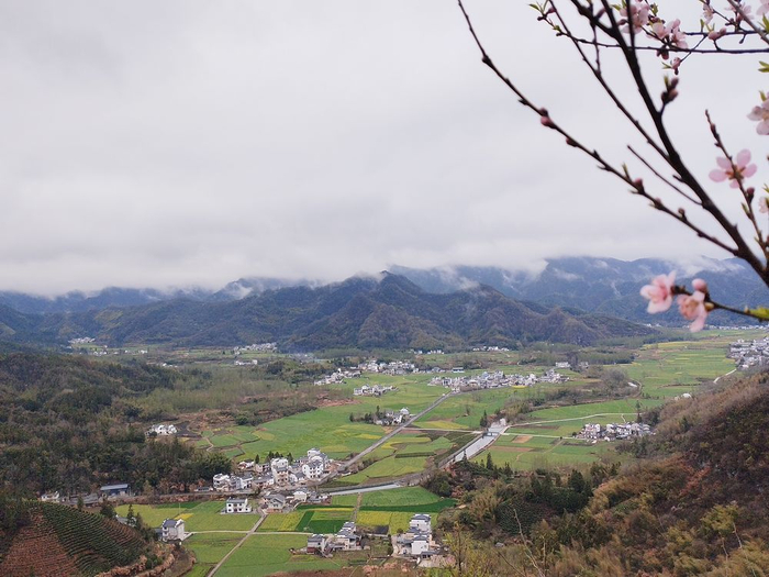 3月17日，在安徽省黄山市黟县柯村镇，约4000亩集中种植的油菜陆续进入花期。（陈辉 摄）