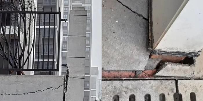业主供图