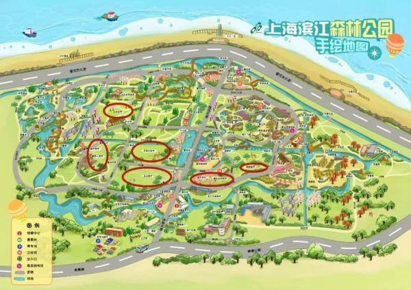 滨江森林公园目前已开放虞美人草坪、合欢草坪、无患子草坪、玉兰草坪、樱花草坪、枫香草坪等至少6片草坪供游客搭帐篷