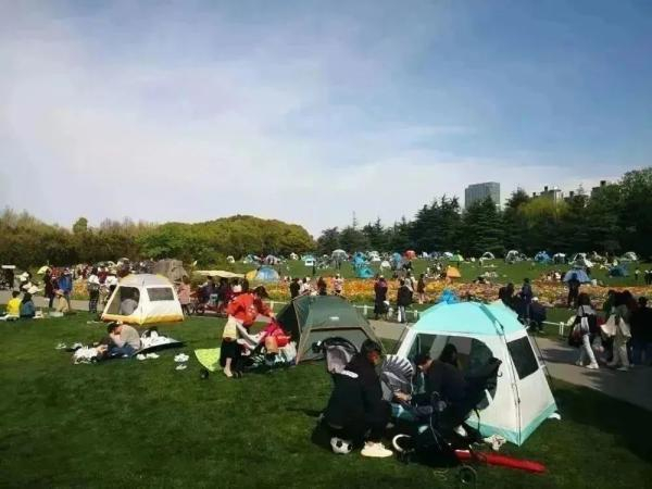 “篷潮汹涌”的世纪公园草坪