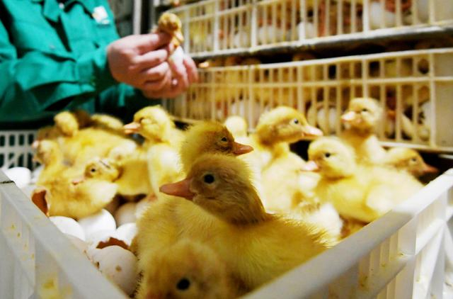 资料图 据视觉中国