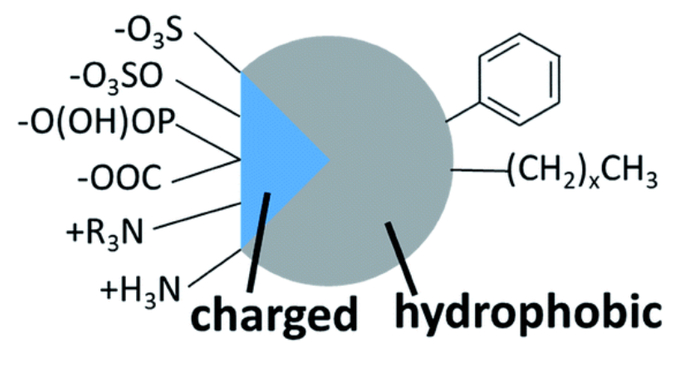 图1. 疏水离子示意图