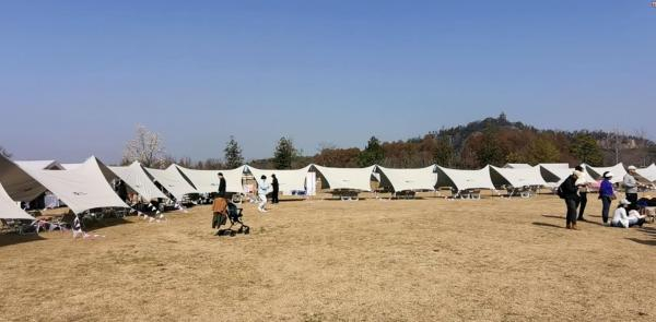 辰山植物园，由第三方统一搭建的帐篷，更便于管理 陈玺撼 摄