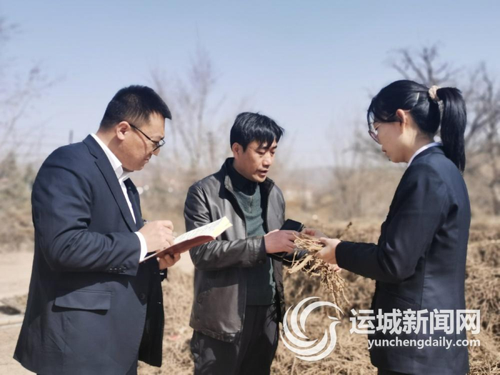 闻喜农商银行工作人员走访爱田道地中药材基地  赵泽斌 摄