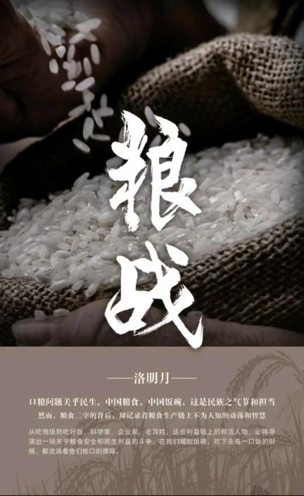 网络小说《粮战》