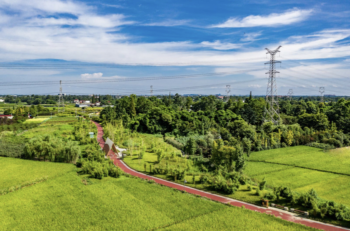 锦江绿道每个季节都有不同的美景  图via.蒋人可