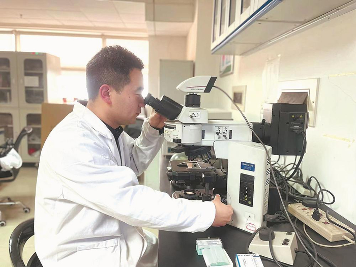 科技工作者在实验室观察疫霉菌。 本报记者 林霞 摄