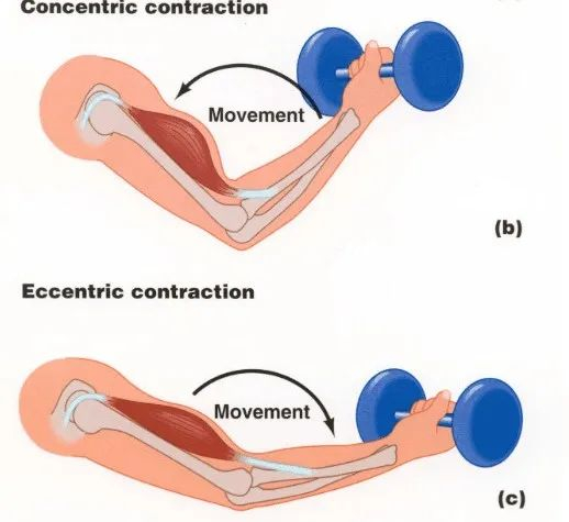 （图片来源：EBT）