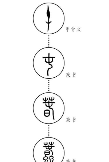 　　“蠢”字的演化历史