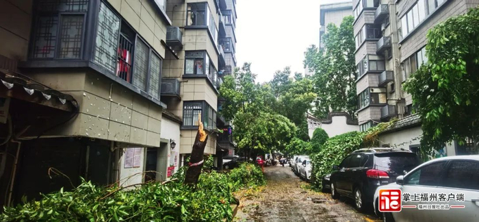 道路已逐步恢复道路通畅。