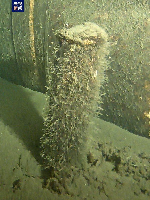 “北溪-2”天然气管道旁发现的可疑物体