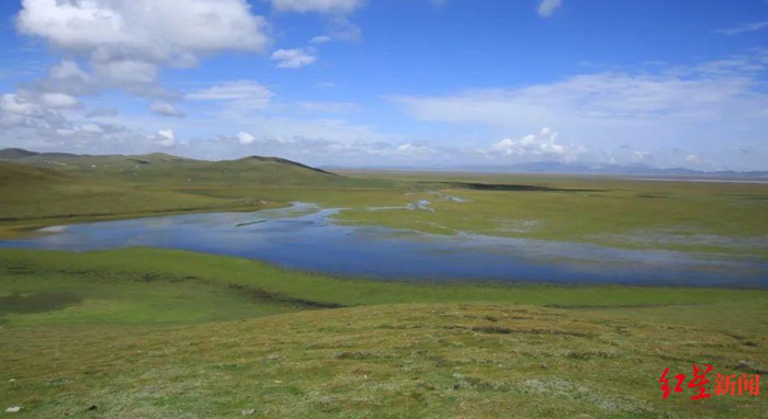 ▲若尔盖泥炭地