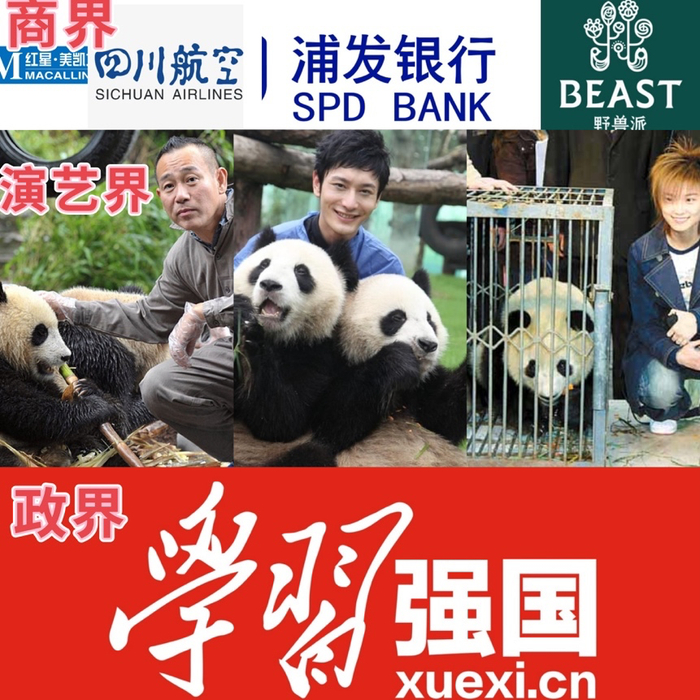 大熊猫认养人部分综合 金错刀制图