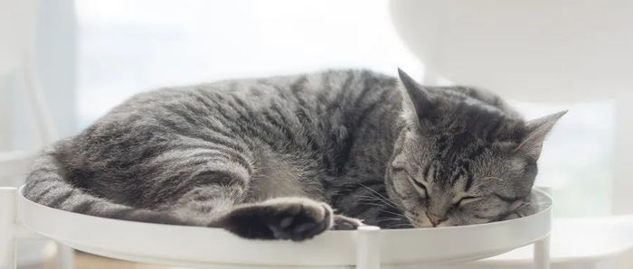 图片来源摄图网